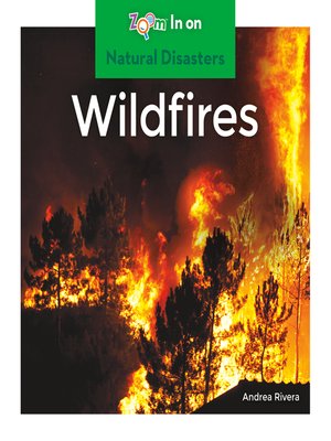 cover image of Wildfires